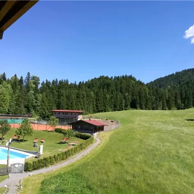 Eine idyllische Landschaft mit grünen Wiesen und hohen Bäumen. Im Vordergrund ist ein Poolbereich und Tennisplätze zu sehen.