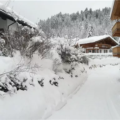 A snowy street between houses, surrounded by snow-covered bushes. The winter landscape is peaceful and calm.