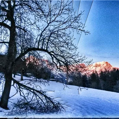A winter landscape with a snow-covered ground and a bare tree in the foreground. In the background, snow-covered mountains and a clear sky can be seen.