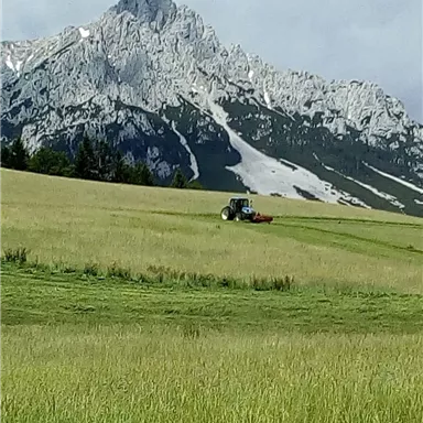 A vast meadow with tall grass and a tractor cultivating the area. In the background, impressive mountains rise with snow-capped peaks.