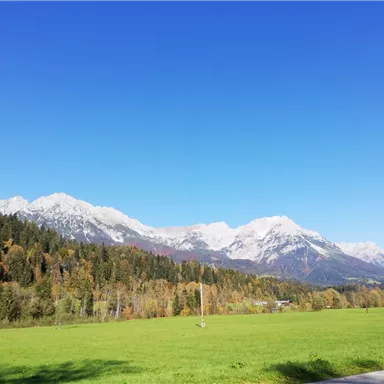 A beautiful mountain landscape with snow-covered peaks and colorful autumn trees in the foreground. The clear sky contributes to the picturesque view.