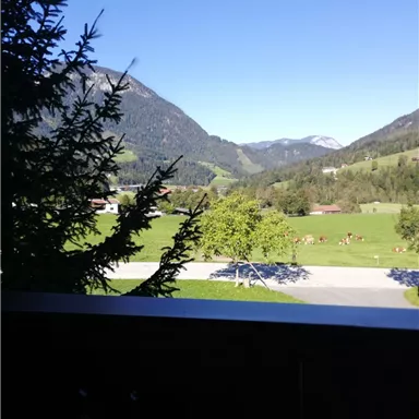 A beautiful mountain landscape with green meadows and gentle hills. The sky is clear and blue, and cows are grazing in the background.