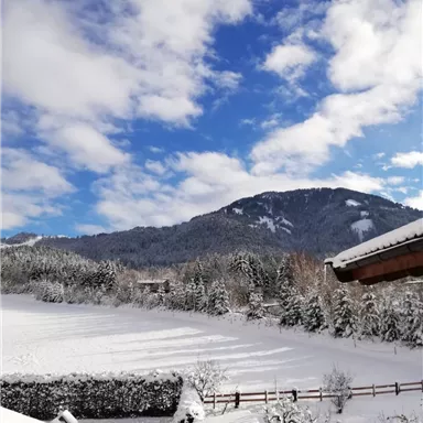 A snow-covered landscape with mountains in the background and a blue sky. The ground is completely covered with a white layer of snow.