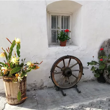 A wall with a window and blooming plants. A wooden wheel and a decorative wooden structure are nearby.