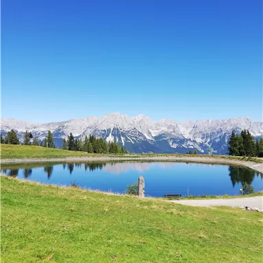 Ein ruhiger Teich in einer malerischen Landschaft mit Bergen im Hintergrund. Der Himmel ist klar und blau, das Gras ist grün.