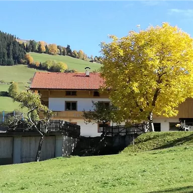 Ein malerisches Haus in einer grünen Landschaft, umgeben von Bäumen. Im Vordergrund steht ein leuchtend gelber Baum unter einem klaren blauen Himmel.
