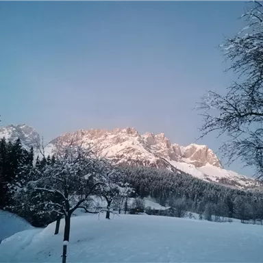 Eine verschneite Landschaft mit majestätischen Bergen im Hintergrund. Der Himmel ist hellblau und die Bäume sind mit Schnee bedeckt.