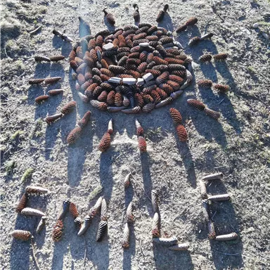 Ein kreatives Muster aus Zapfen, das eine Sonne darstellt. Darunter steht das Wort "HOME", ebenfalls aus Zapfen geformt.