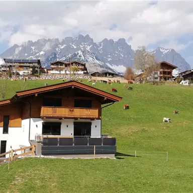 Ein rustikales Haus auf einer grünen Wiese mit Kühen. Im Hintergrund erheben sich majestätische Berge unter einem bewölkten Himmel.