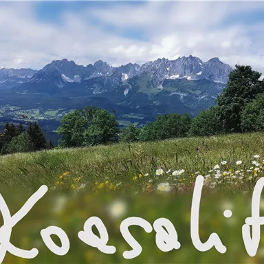 A picturesque landscape with green meadows and mountains in the background. The clouds in the sky give the scene a calm atmosphere.