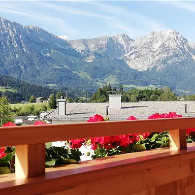A picturesque mountain landscape with high peaks and a green valley. In the foreground, blooming geraniums and a wooden balustrade.