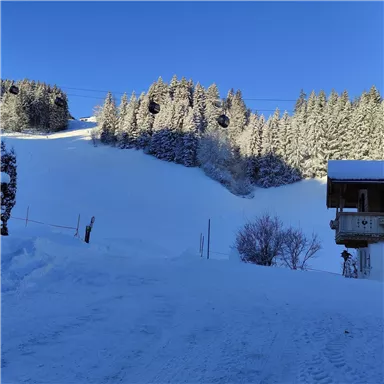 A snow-covered landscape with a ski slope and dense, snow-covered trees. The sky is clear and blue, showcasing a beautiful winter day.