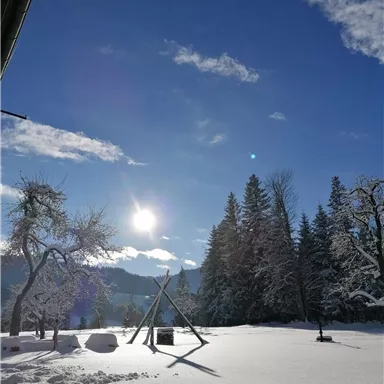 Eine verschneite Landschaft mit Bäumen und strahlendem Sonnenschein. Der Himmel ist blau mit ein paar Wolken.