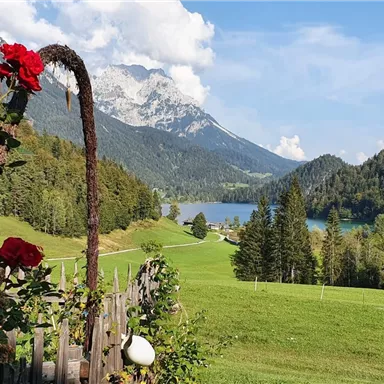 A picturesque landscape with mountains and a clear lake. In the foreground, blooming roses and lush meadows.