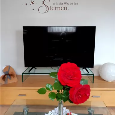 A modern living room with a television on a glass table. A vase with red roses and a decorative tablecloth in white adorn the table.