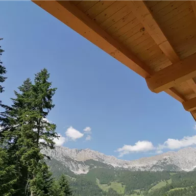 A view of the mountains with dense trees in the foreground. The sky is blue and clear, with some white clouds.