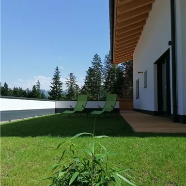 A modern garden with fresh green grass and sun loungers. In the background, tall trees stand under a clear blue sky.