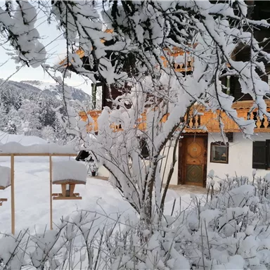 A snow-covered house surrounded by frosty trees and bushes. In the foreground, there are bird feeders.