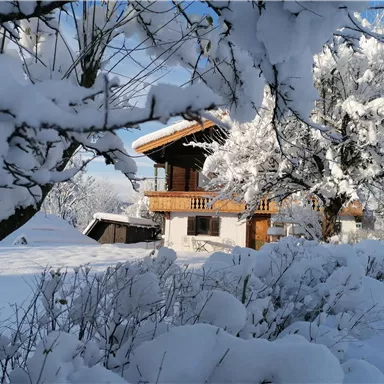 A charming wooden house in winter, surrounded by snow-covered trees. The landscape is tranquil and idyllic with fresh, white snow.