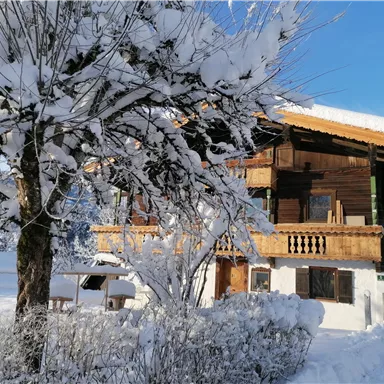 A cozy wooden house in the snow with a snow-covered tree in the foreground. The sky is clear and blue.