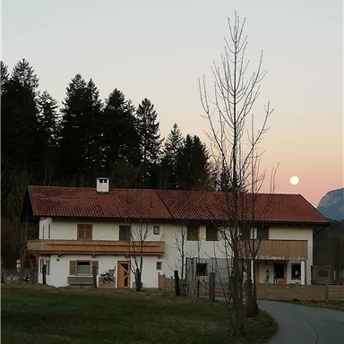 A rural house surrounded by trees and gentle hills. The moon is visible in the sky as the sun sets.
