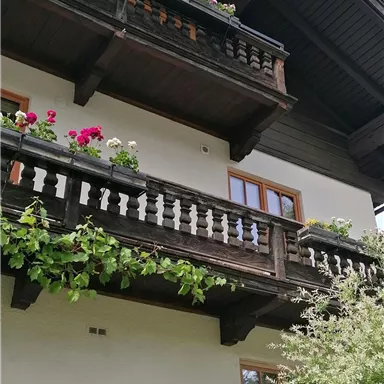 Ein gemütliches Haus mit einem großen Balkon, der mit bunten Blumen geschmückt ist. Im Vordergrund sind gelbe Rosen und üppiges Grün zu sehen.