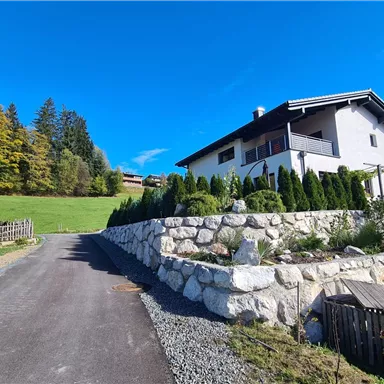 A modern house on a hill with a landscaped garden and green lawn. The sky is clear and blue, surrounded by trees.
