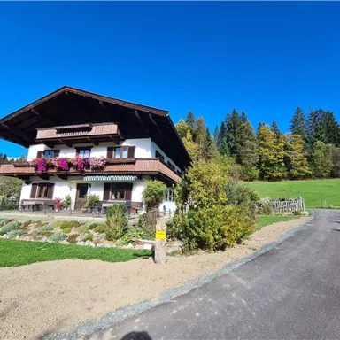 A cozy house surrounded by trees and colorful flowers. The clear sky and the green meadow give the surroundings a pleasant atmosphere.
