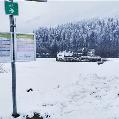 Ein verschneites Landschaftsbild mit einem Busstop und einem Fahrplan. Im Hintergrund ist ein Haus und schneebedeckte Bäume zu sehen.