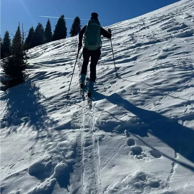 Eine Person wandert mit Skistöcken auf einem verschneiten Hang. Im Hintergrund sind Kiefern und ein klarer blauer Himmel zu sehen.