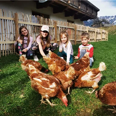 Eine Gruppe von Kindern sitzt im Freien und spielt mit Hühnern. Im Hintergrund sieht man ein Haus und Berge.