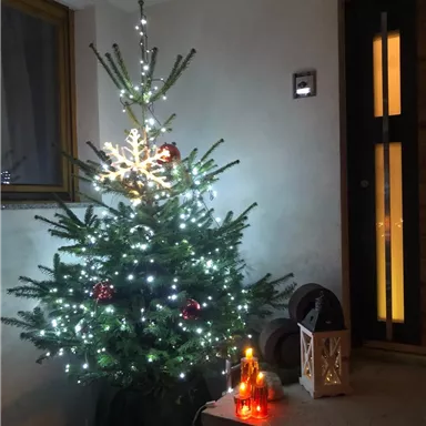 Ein geschmückter Weihnachtsbaum mit Lichtern steht im Eingangsbereich. Neben dem Baum sind dekorative Laternen und Kerzen zu sehen.