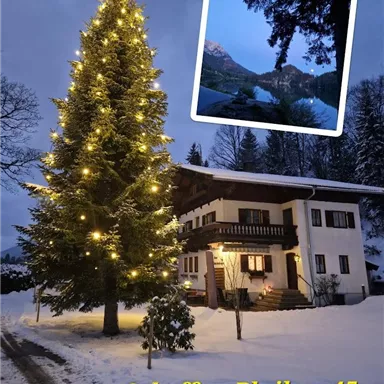 A winter scene with a festively lit Christmas tree in front of a cozy house in the snow. In the background, a mountain landscape can be seen.
