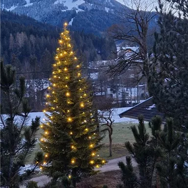 A beautiful, lit Christmas tree stands in a wintry landscape. In the background, snow-covered mountains and fir trees can be seen.