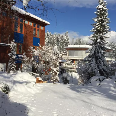 A snow-covered garden with two modern houses. The sky is clear and blue, surrounded by snow-covered fir trees.