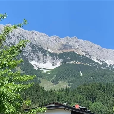 Ein majestätischer Berg unter einem klaren blauen Himmel. Grüne Bäume und ein Haus rahmen die Landschaft ein.