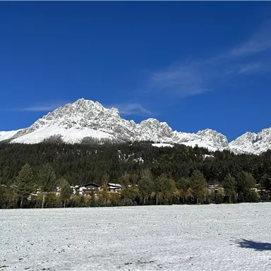 Einmalige Schneelandschaft mit majestätischen Bergen im Hintergrund. Der klare blaue Himmel verleiht der Szene eine friedliche Atmosphäre.