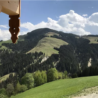 A beautiful mountain landscape with green meadows and wooded slopes. The sky is blue with some clouds.
