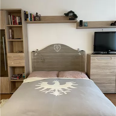 A cozy bedroom with a double bed and a clear ceiling. On the wall, there is a shelf with books and a television.