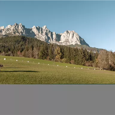 Eine malerische Berglandschaft mit majestätischen Felsen und klar blauem Himmel. Im Vordergrund erstreckt sich eine grüne Wiese mit einigen Bäumen.