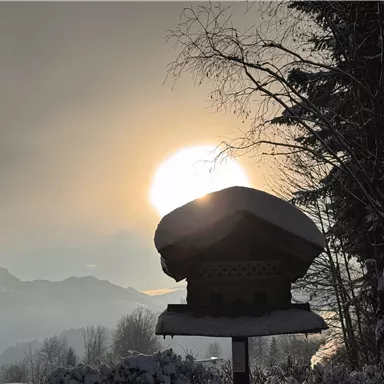 Ein malerischer Sonnenaufgang hinter schneebedeckten Bergen. Im Vordergrund ist ein traditionelles Haus mit einem schneebedeckten Dach zu sehen.