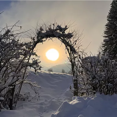 Ein verschneiter Garten mit einem Tor aus Ästen. Die Sonne scheint durch die Wolken und sorgt für eine malerische Winterlandschaft.