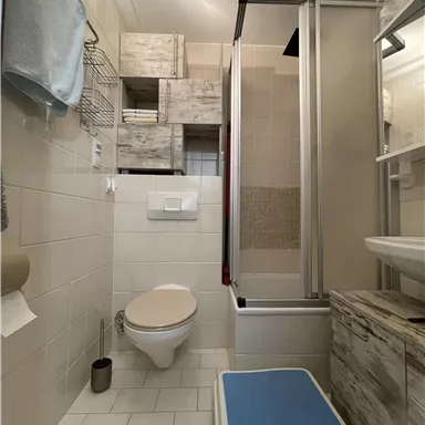 A modern bathroom with a toilet, a shower, and wooden shelves. The walls are brightly tiled and there is a mirror above the sink.