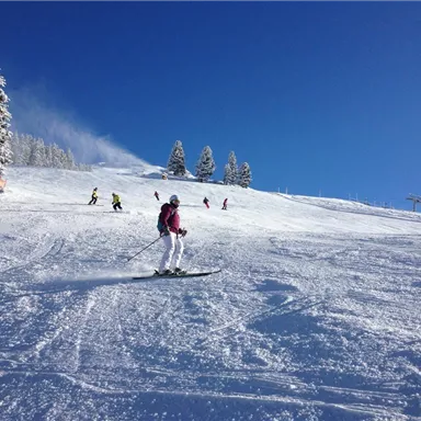 Ein schneebedeckter Hang mit Skifahrern unter einem klaren blauen Himmel. Die Bäume sind mit Schnee bedeckt, und die Landschaft wirkt winterlich und einladend.