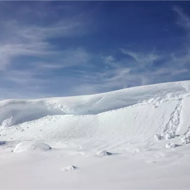Eine weite, verschneite Landschaft unter einem klaren blauen Himmel. Sanfte Hügel aus Schnee erstrecken sich bis zum Horizont.