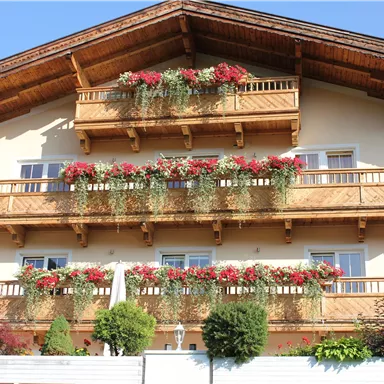 Ein schönes Holzhaus mit mehreren Balkonen. Die Balkone sind mit blühenden Blumen geschmückt und es gibt grüne Pflanzen im Vordergrund.