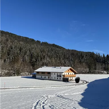 Ein verschneites Landschaftsbild mit einem gemütlichen Bauernhaus. Der klare blaue Himmel und die bewaldeten Berge im Hintergrund verleihen der Szene eine ruhige Atmosphäre.