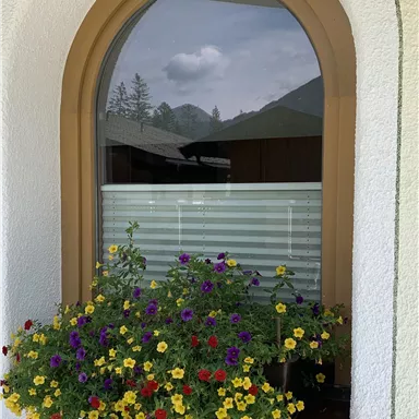 A colorful flower box with yellow, purple, and red flowers hangs in front of a window. In the background, mountains and a blue sky are visible.