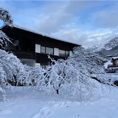 Ein schneebedecktes Haus umgeben von winterlichen Landschaften. Die Bäume sind mit Schnee bedeckt und die Berge sind im Hintergrund sichtbar.
