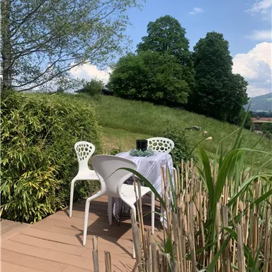 A cozy outdoor area with a table and two chairs on a wooden terrace. In the background, lush greenery and trees can be seen under a clear blue sky.